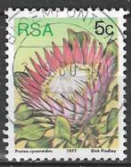 Zuid-Afrika 1977 - Yvert 420 - De Koningsprotea (ST), Verzenden, Zuid-Afrika, Gestempeld