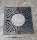 Meerdere boomroosters gietijzer, Ophalen, Bloeit niet, Halfschaduw, Overige soorten