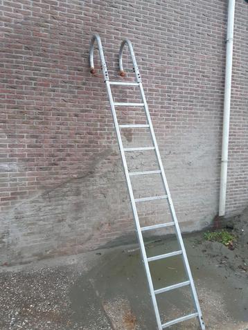 Dakladder nokladder layher 3 meter beschikbaar voor biedingen