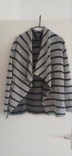 Amisu Vest Grijs/Zwart Strepen, Ophalen of Verzenden, Jasje, Maat 36 (S), Grijs