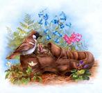 BORDUURPAREOON/7, Hobby en Vrije tijd, Borduren en Borduurmachines, Ophalen, Nieuw, Handborduren, Patroon