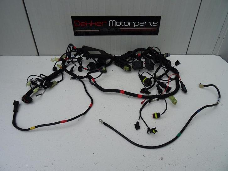 Kabelboom / Wire Harness Ducati Monster 821 2018-2019-2020, Motoren, Onderdelen | Ducati, Gebruikt, Ophalen of Verzenden