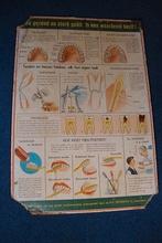 SCHOOLPLAAT Een gezond en sterk gebit is een waardevol bezit, Ophalen of Verzenden, Overige thema's