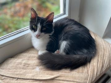 Sara 5 mnd oud bij gastgezin in Adam beschikbaar voor biedingen