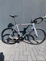 Argon 18 Gallium CS disc. racer, mt L, NIEUW, Carbon, Nieuw, Meer dan 20 versnellingen, Ophalen