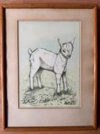 Ingekleurde Litho van een Geitje, Ingelijst, Ophalen of Verzenden