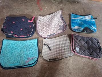 6 pony dekjes beschikbaar voor biedingen