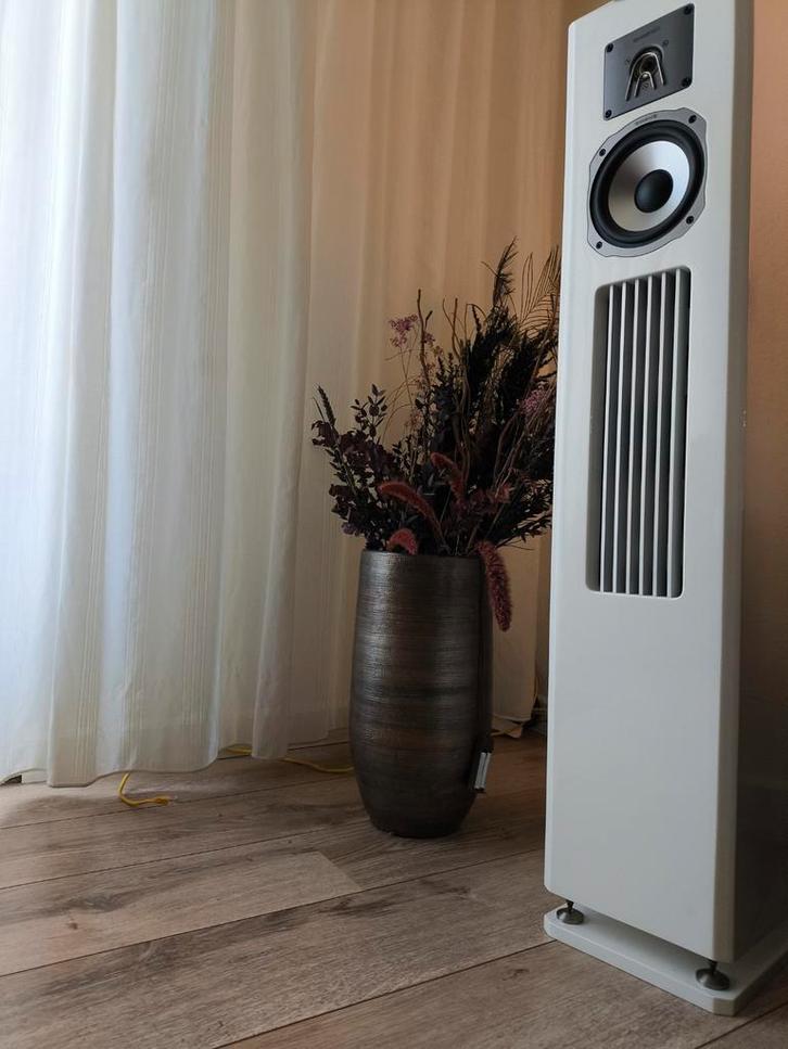 Quadral limited edition M4 glossy white, Audio, Tv en Foto, Luidsprekers, Zo goed als nieuw, Front, Rear of Stereo speakers, 120 watt of meer