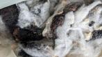 Vulwol gewassen wol schapenwol , wandelwol, Ophalen of Verzenden, Nieuw, Materiaal
