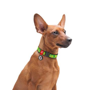 WAUDOG Advacado Nylon Halsband S Nekomtrek 24-40 cm -35%!!! beschikbaar voor biedingen