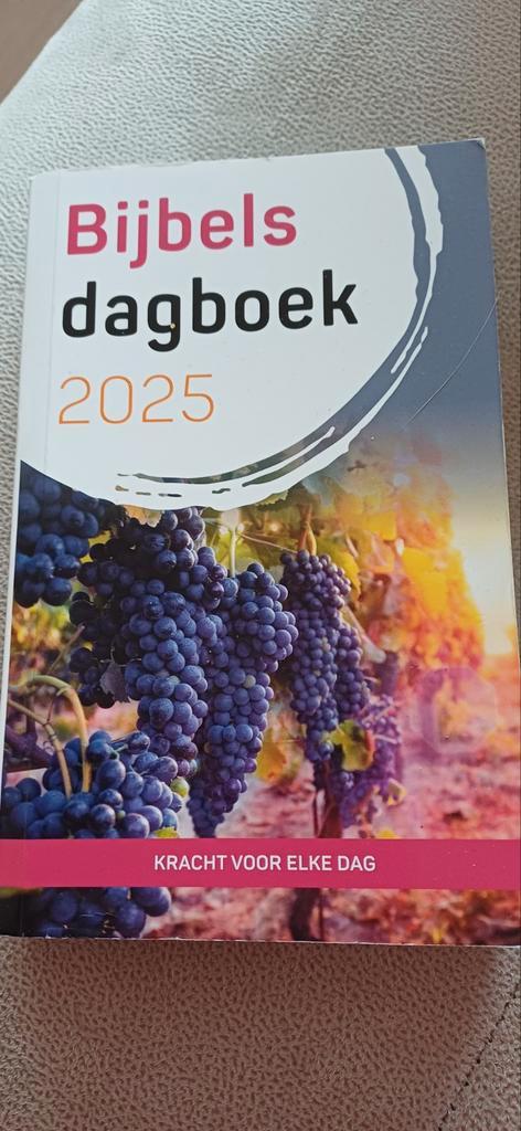 Bijbels dagboek 2025 (standaard formaat), Boeken, Godsdienst en Theologie, Zo goed als nieuw, Ophalen of Verzenden
