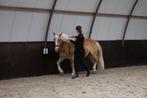 Instructrice grondwerk/rijden, Diensten en Vakmensen, Dieren | Paarden | Verzorging, Oppas en Les
