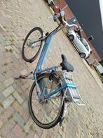 Sparta emotion C1, 47 tot 51 cm, Ophalen, Gebruikt, Sparta