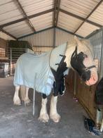 Vliegen deken, Dieren en Toebehoren, Paarden en Pony's | Dekens en Dekjes, Ophalen of Verzenden, Zo goed als nieuw, Deken