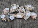 Maar liefst 232 grote schelpen uit Normandië - Sier/Knutsel, Ophalen of Verzenden, Materiaal