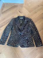 Colbert jasje my jewellery maat M in zeer goede staat, Ophalen of Verzenden, Zo goed als nieuw, Maat 38/40 (M), Bruin