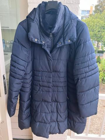 Donkerblauwe winterjas maat 50 XXXL van Paprika zgan beschikbaar voor biedingen