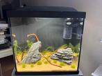 Mooi compleet aquarium - superfish start 30 - 25L, Dieren en Toebehoren, Vissen | Aquaria en Toebehoren, Ophalen, Gebruikt, Gevuld zoetwateraquarium