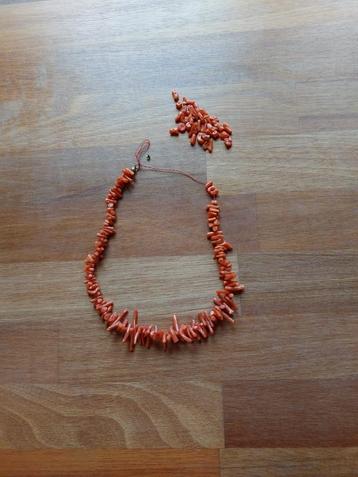 Bloedkoralen (takjes) aan een ketting beschikbaar voor biedingen
