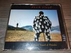 Pink Floyd ‎- Delicate Sound Of Thunder [Emi Uden], Ophalen of Verzenden, Zo goed als nieuw, Poprock