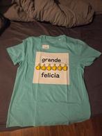 Nieuw Bankzitters Grande Felicia Shirt - Maat M, Kleding | Heren, T-shirts, Ophalen of Verzenden, Nieuw, Maat 48/50 (M), Bankzitters