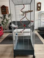 Aangeboden grote parkieten kooi op wieltjes, Dieren en Toebehoren, Ophalen, Gebruikt, Metaal, Vogelkooi
