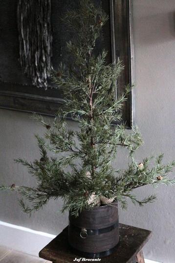 Groene lariks met dennenappeltjes 90 cm in jute pot beschikbaar voor biedingen