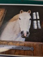 legpuzzel 500 stukjes, Ophalen of Verzenden, 'T Olde Gre-j, Info@toldegrej.nl, Endepoelstraat 20f Didam