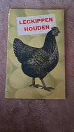 Legkippen boekje, Dieren en Toebehoren, Pluimvee, Vrouwelijk, Kip
