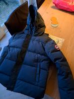 Canada Goose Macmillan Heren XL, Kleding | Heren, Jassen | Winter, Canada Goose, Ophalen of Verzenden, Grijs, Maat 56/58 (XL)