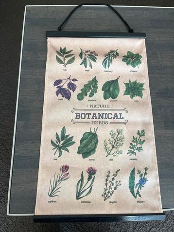 Botanische Kruiden Wanddecoratie beschikbaar voor biedingen