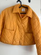 Primark dames jas, Ophalen of Verzenden, Zo goed als nieuw, Maat 34 (XS) of kleiner