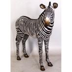 Zebra Veulen beeld - Hoogte 110 cm, Ophalen, Nieuw, Overige soorten, Overige typen
