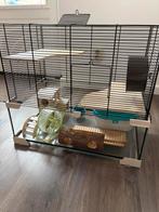Glazen hamsterkooi, Kooi, Minder dan 75 cm, Zo goed als nieuw, Hamster