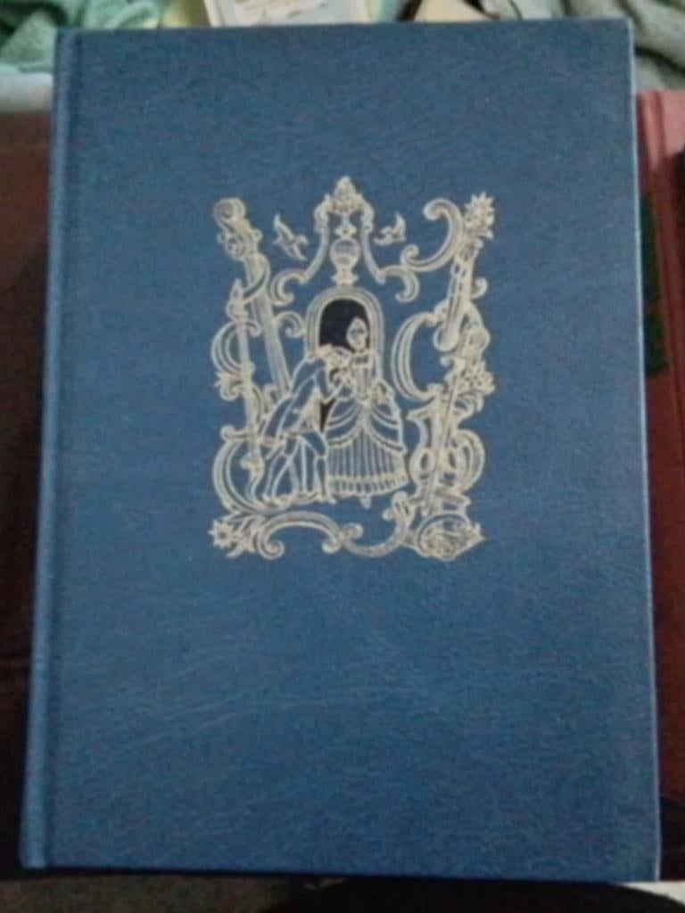 Roman De magische spiegel, Boeken, Ophalen of Verzenden, Zo goed als nieuw, Kathinka Lannoy, Nederland
