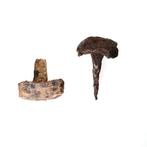 Romeins Ijzer Artifact 2 Spijkers langste 60mm   c314, Antiek en Kunst, Ophalen of Verzenden