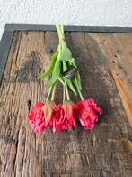 Prachtige Kunst Papegaaitulpen – Rood, Ophalen of Verzenden, Nieuw, Binnen