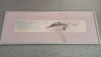 Aquarelprint Pelikaan (door R. Folk (USA)), Ophalen