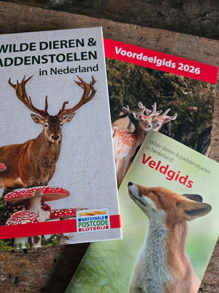Kortingskaartjes, Tickets en Kaartjes, Kortingen en Cadeaubonnen, Eén persoon, Cadeaubon