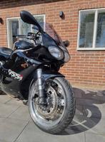 Triumph T595 Daytona  injectie bj 1999, Motoren, 3 cilinders, Meer dan 35 kW, 955 cc, Sport