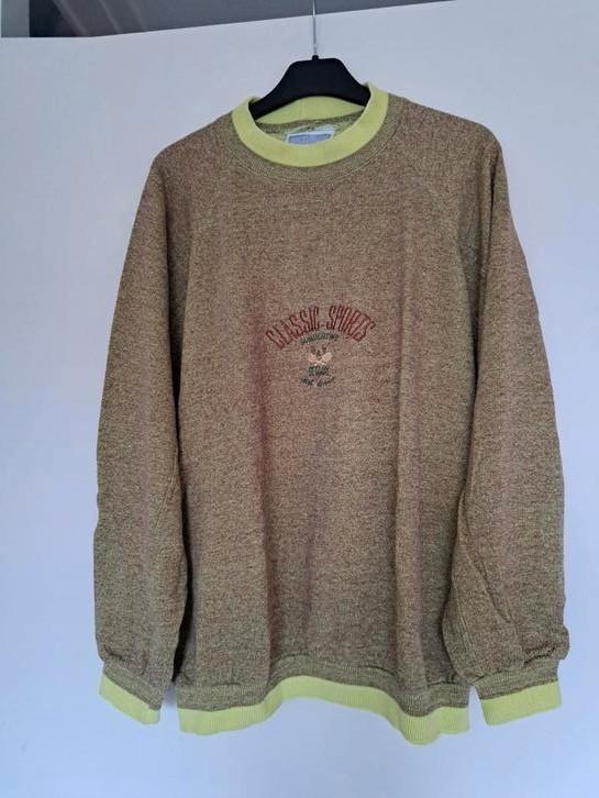 Oversized trui groen van Get a Way 38, Kleding | Dames, Truien en Vesten, Zo goed als nieuw, Maat 38/40 (M), Groen, Ophalen of Verzenden