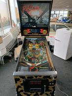 Gottlieb Raven Flipperkast - Netjes en Spelend, Ophalen, Gebruikt, Elektronisch, Gottlieb