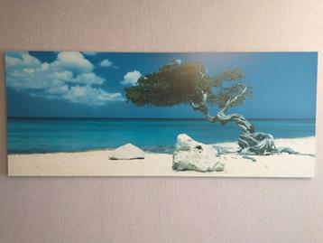 Schilderij beschikbaar voor biedingen