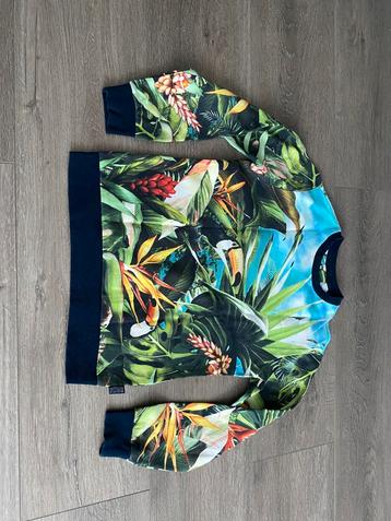 Pakket jongens truien WE fashion maat 158 / 164 beschikbaar voor biedingen