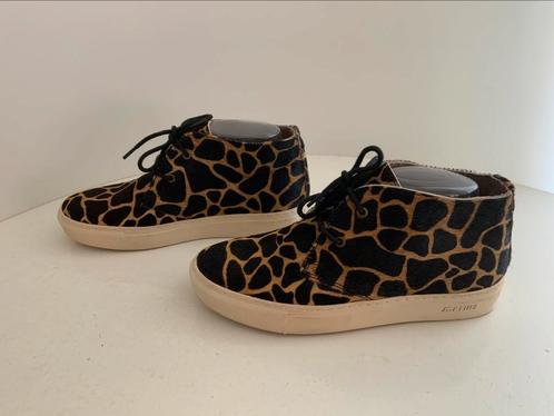 Maruti 38 enkellaarzen panterprint  342), Kleding | Dames, Schoenen, Zo goed als nieuw, Lage of Enkellaarzen, Overige kleuren