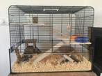 Hamster kooi, Kooi, Minder dan 75 cm, Minder dan 60 cm, Zo goed als nieuw