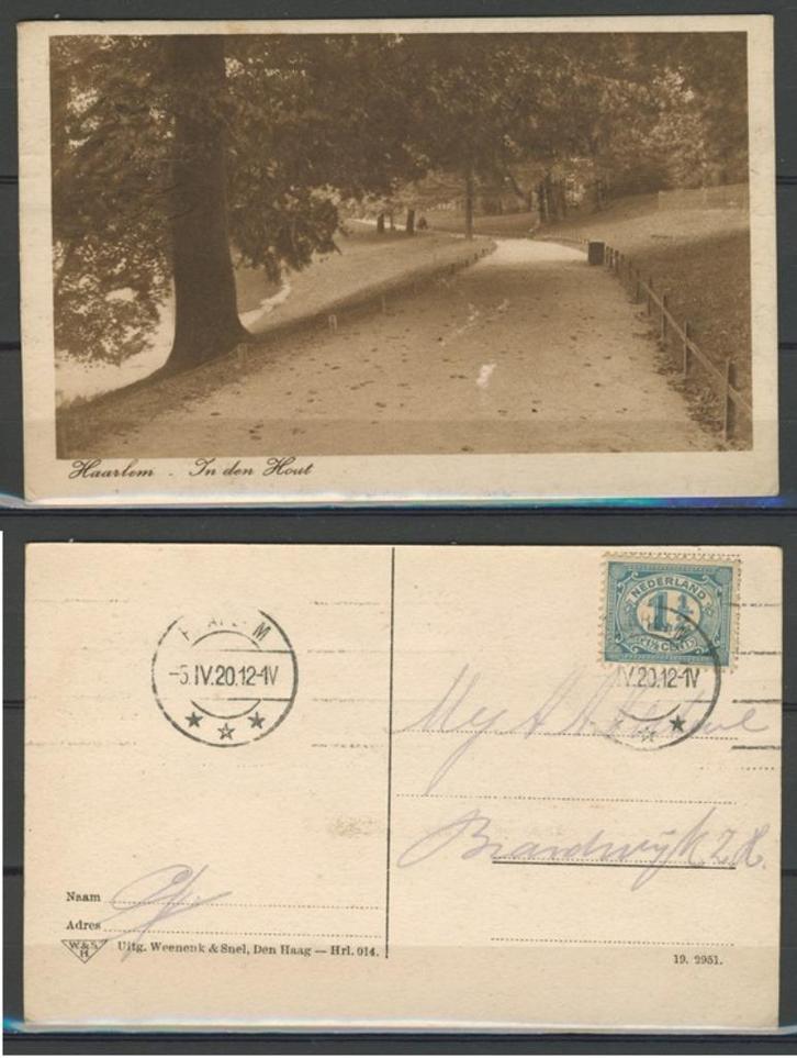 Haarlem 1920 In Den Hout Ansichtkaart m-7c jdu, Verzamelen, Ansichtkaarten | Nederland, Ongelopen, Noord-Holland, Voor 1920, Ophalen of Verzenden