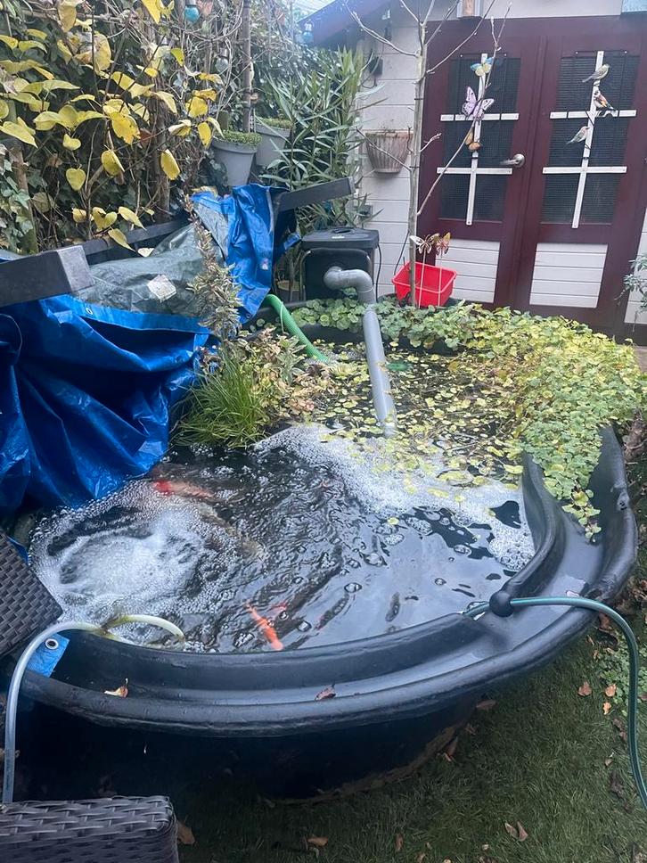 Grote Vijver - Ideaal voor Koi!, Tuin en Terras, Vijvers, Gebruikt, Ophalen of Verzenden