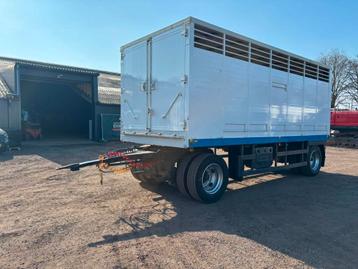 LEVEQUES Veetransport aanhanger, livestock trailer 1 laag! beschikbaar voor biedingen