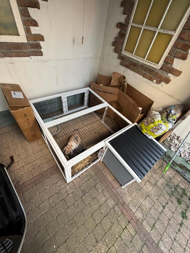 Konijnenhok met ren, Dieren en Toebehoren, Knaagdieren en Konijnen | Hokken en Kooien, Zo goed als nieuw, Hok, Minder dan 60 cm